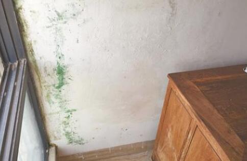 金屬屋面檐口滲水應該怎么解決？家用防水涂料這幾點一定要注意