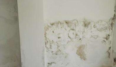 金屬屋面檐口滲水應該怎么解決？家用防水涂料這幾點一定要注意