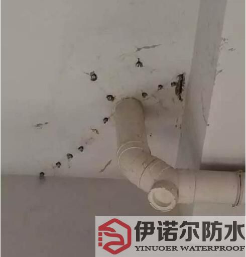 蘇州防水工程的基本內容是什么？